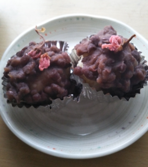 f:id:cspring:20190404190915j:plain