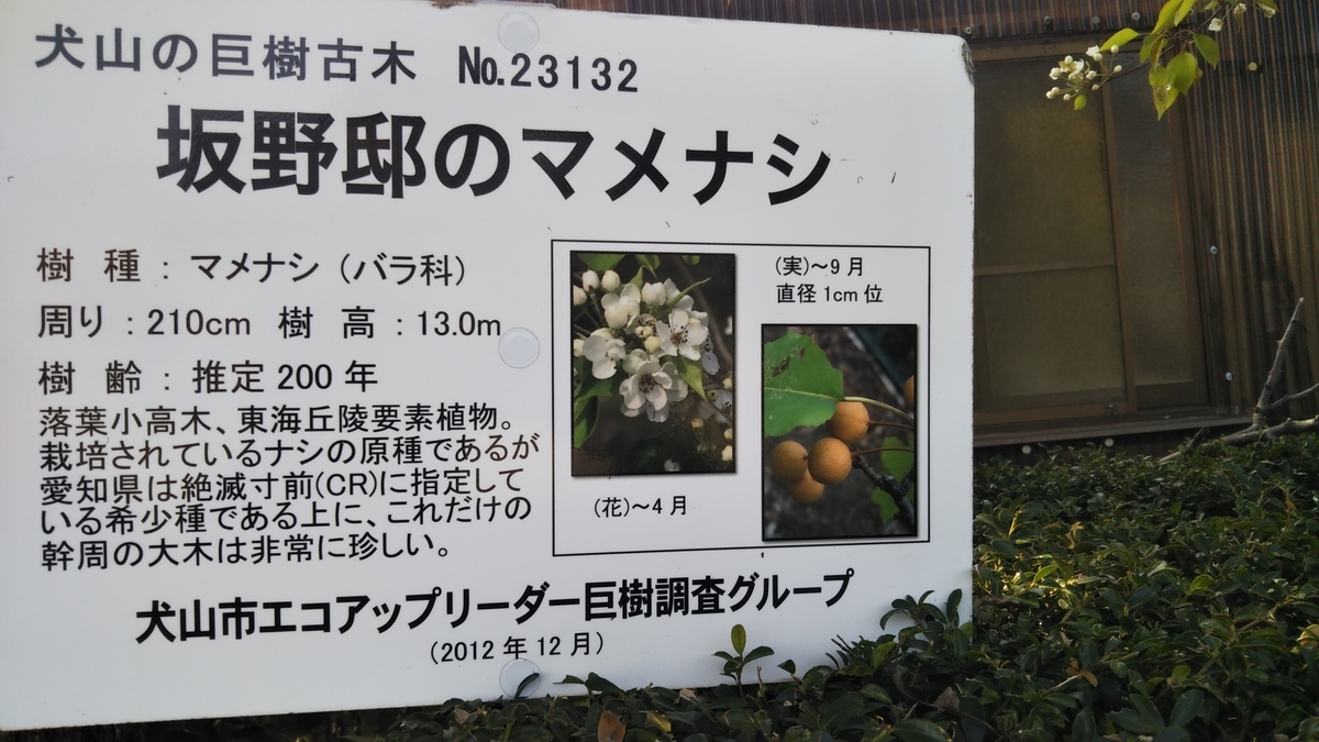 f:id:cspring:20190408141816j:plain