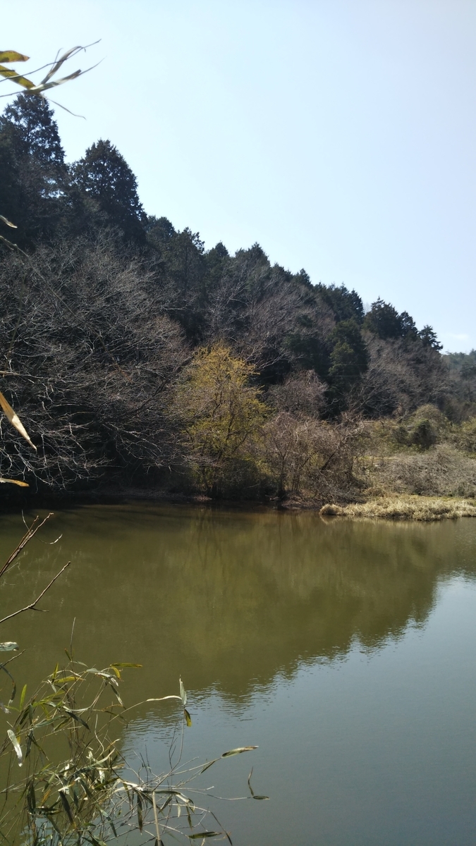 f:id:cspring:20190409173146j:plain