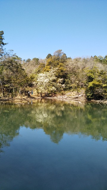 f:id:cspring:20190424170246j:image