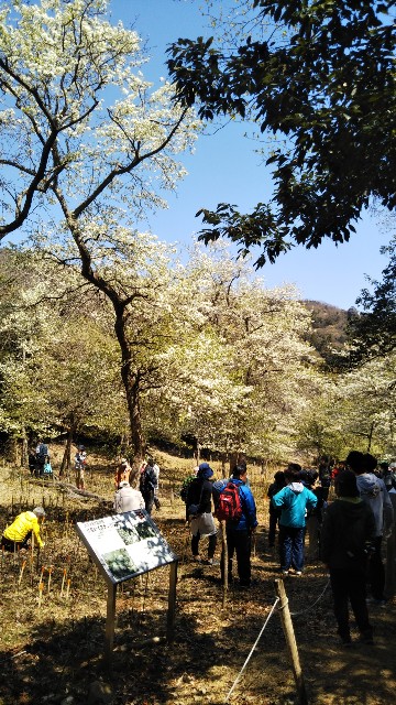 f:id:cspring:20190424170302j:image
