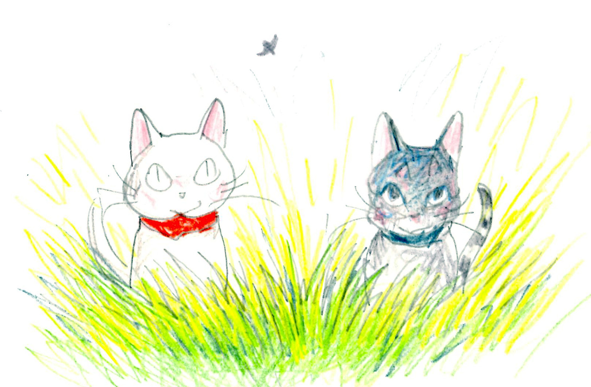 f:id:cspring:20190701221301j:plain