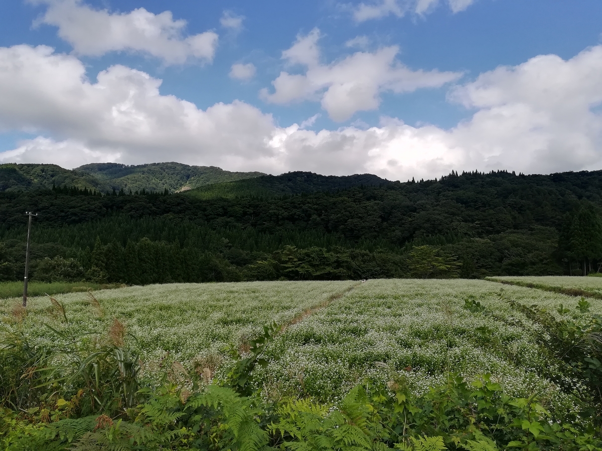 f:id:ctct2347:20190916224512j:plain