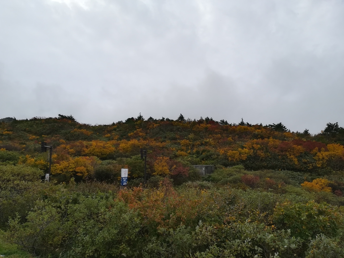 f:id:ctct2347:20191015230551j:plain