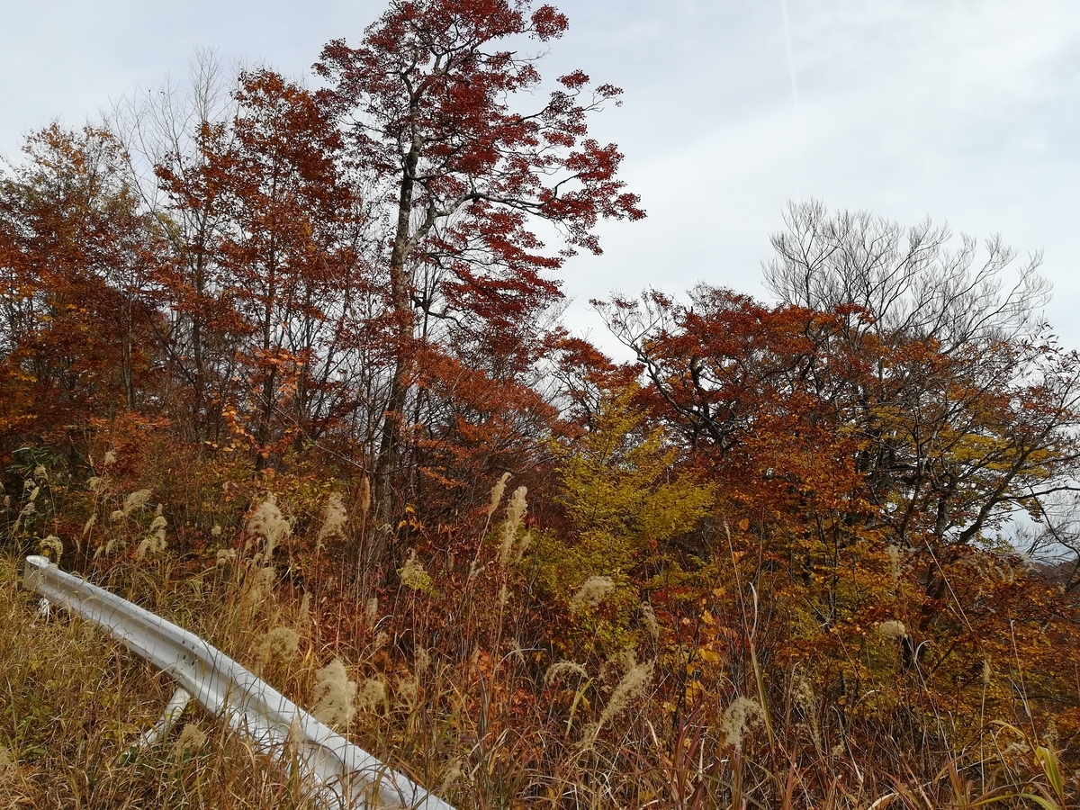 f:id:ctct2347:20191109215744j:plain