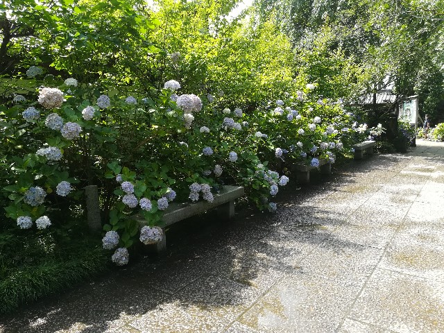 f:id:ctct2347:20201206103217j:plain