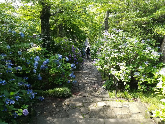 f:id:ctct2347:20201206103358j:plain
