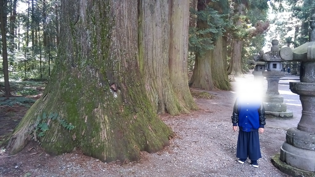 f:id:cuLo:20171014223439p:plain f:id:cuLo:20171014223439p:plain