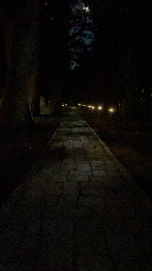 f:id:cu_bloger:20231127163109j:image