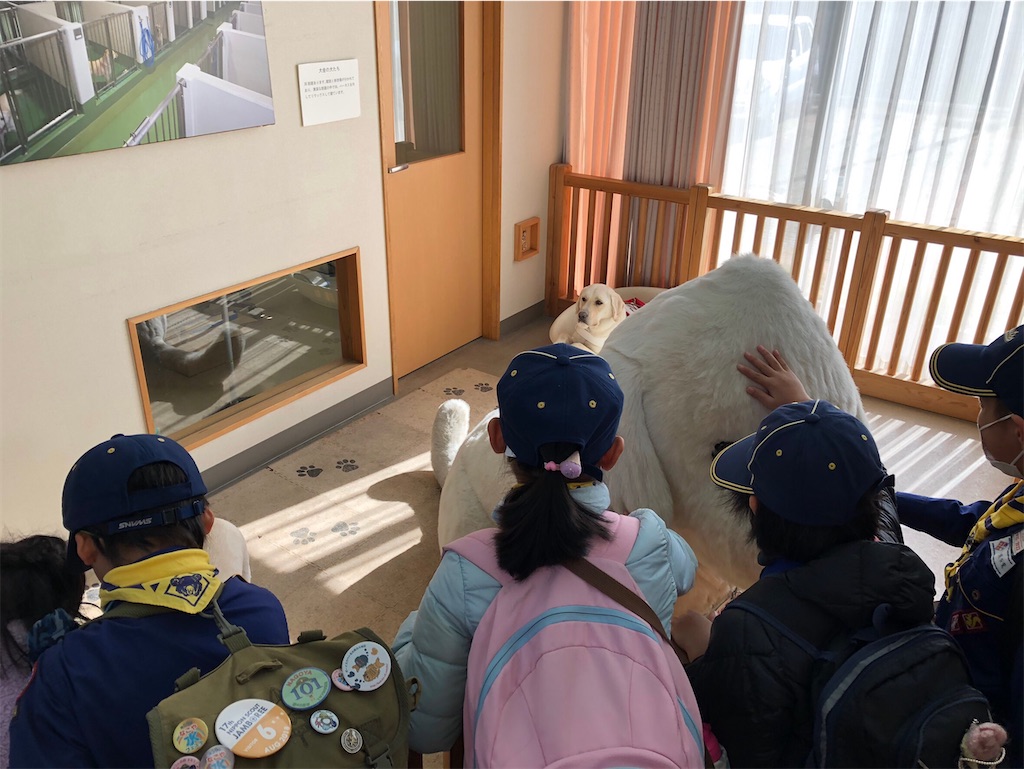 f:id:cub95:20200123102741j:image f:id:cub95:20200123102741j:image