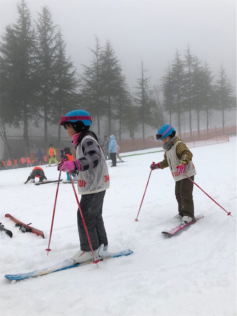 f:id:cub95:20200225091024j:image f:id:cub95:20200225091024j:image