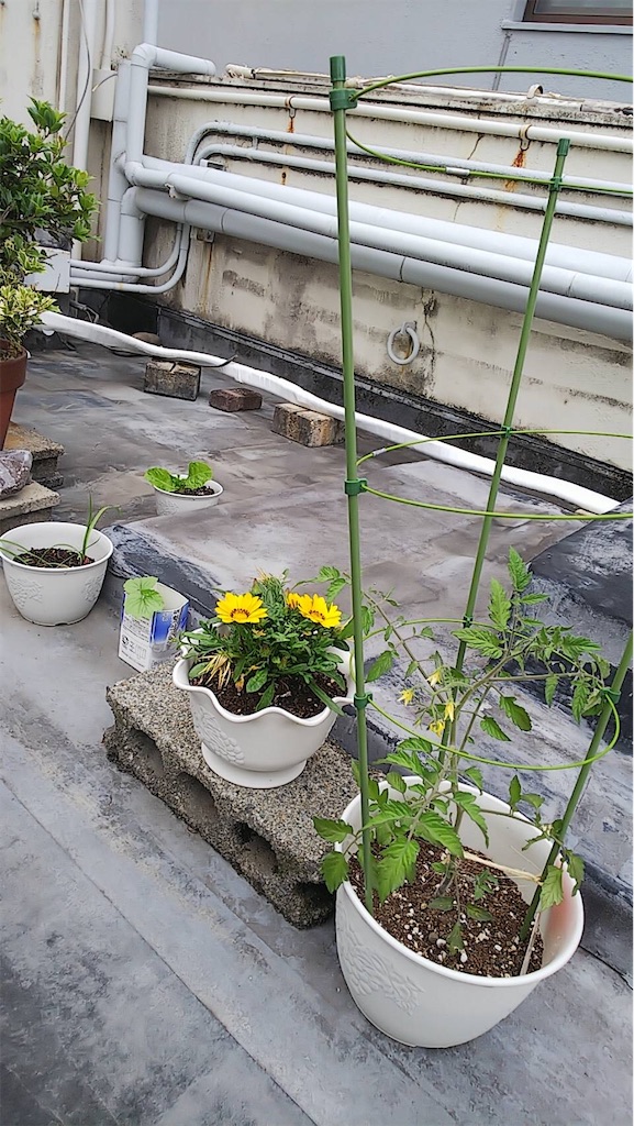 f:id:cub95:20200601155905j:image