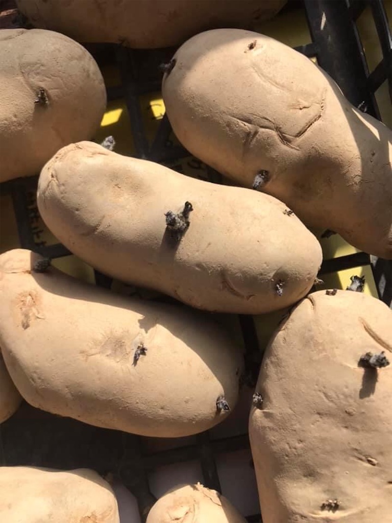 f:id:cub95:20210327121755j:image