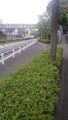廃バス停