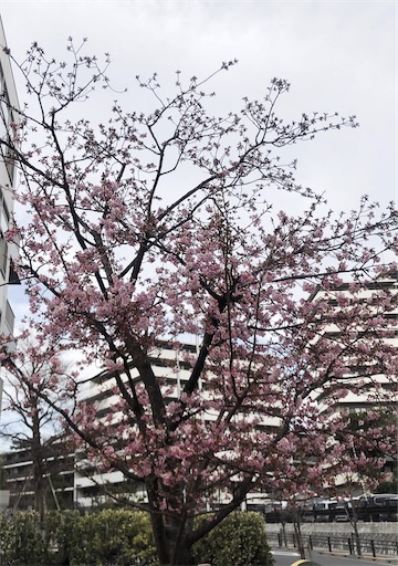 f:id:cubu:20220307221437j:image