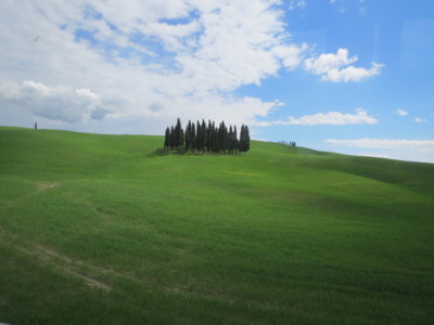 f:id:cucciolo-mayu:20140430220723j:image:w360