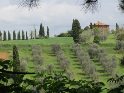 f:id:cucciolo-mayu:20140502184640j:image:w360