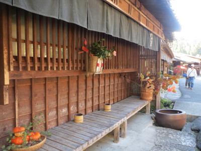 f:id:cucciolo-mayu:20151029130234j:image:w360