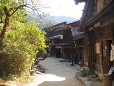 f:id:cucciolo-mayu:20151029131504j:image:w360