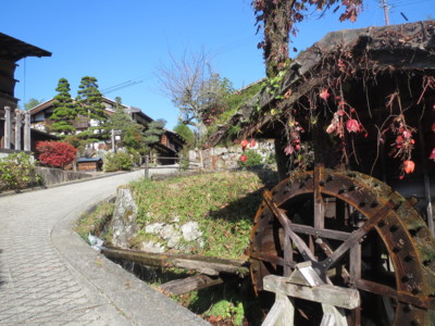 f:id:cucciolo-mayu:20151029133030j:image:w360