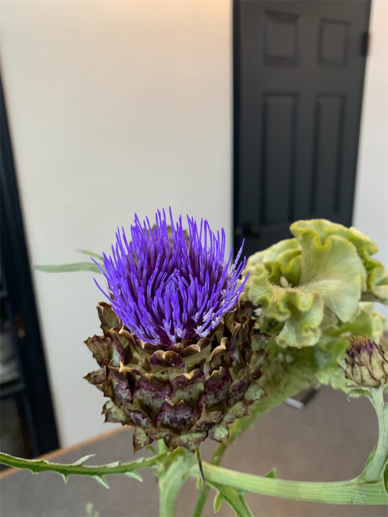 f:id:cucinabitabile:20190629172523j:image