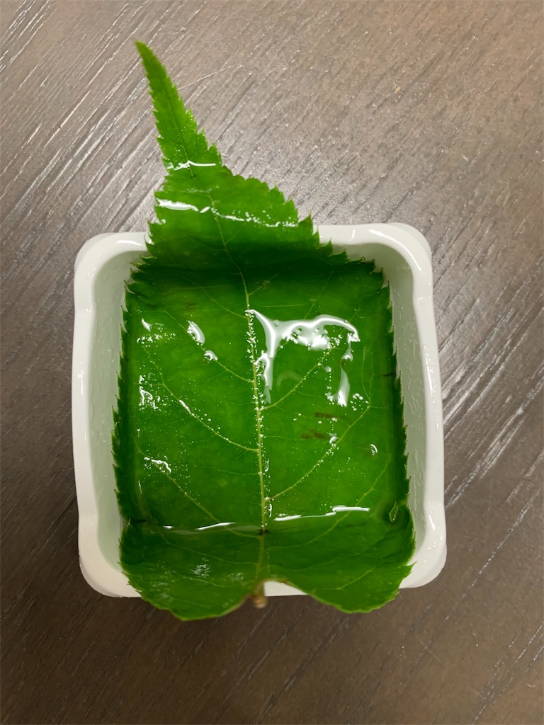 f:id:cucinabitabile:20190706140228j:image