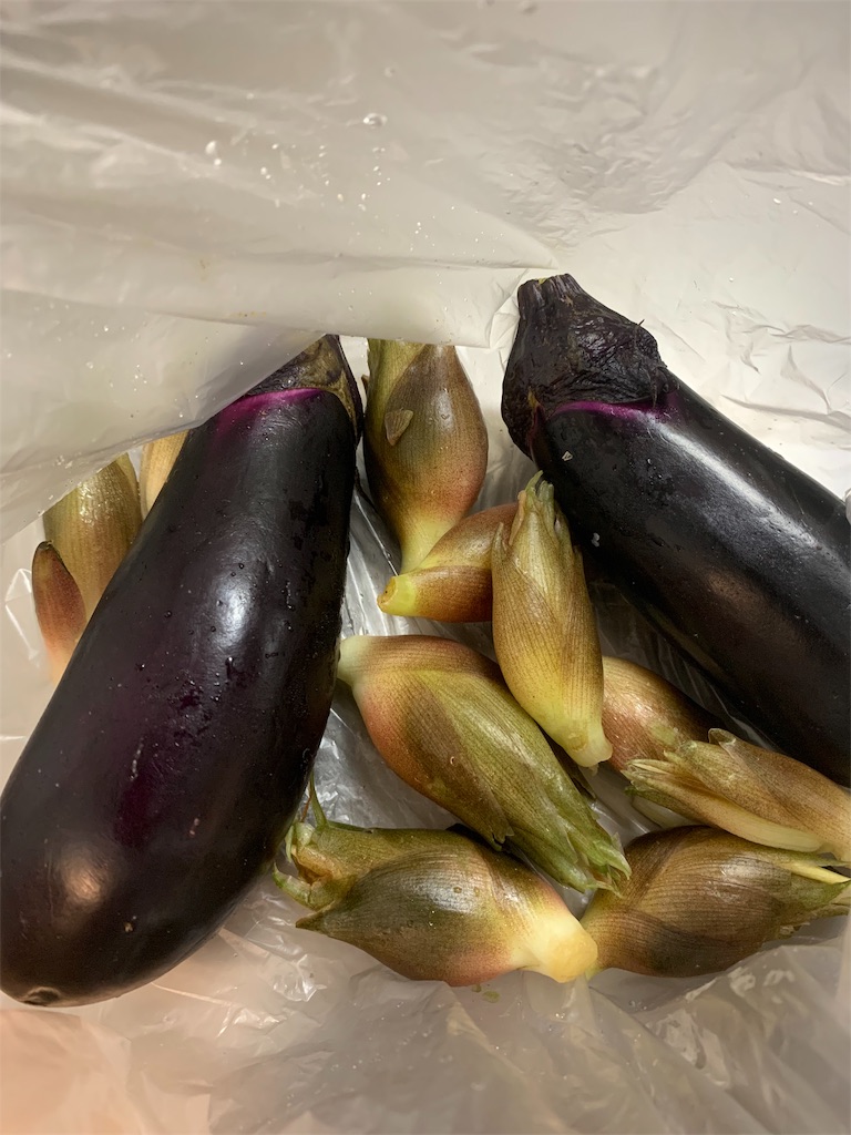 f:id:cucinabitabile:20190901221916j:image