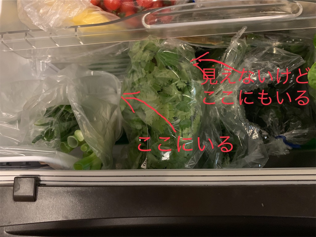 f:id:cucinabitabile:20191117221549j:image