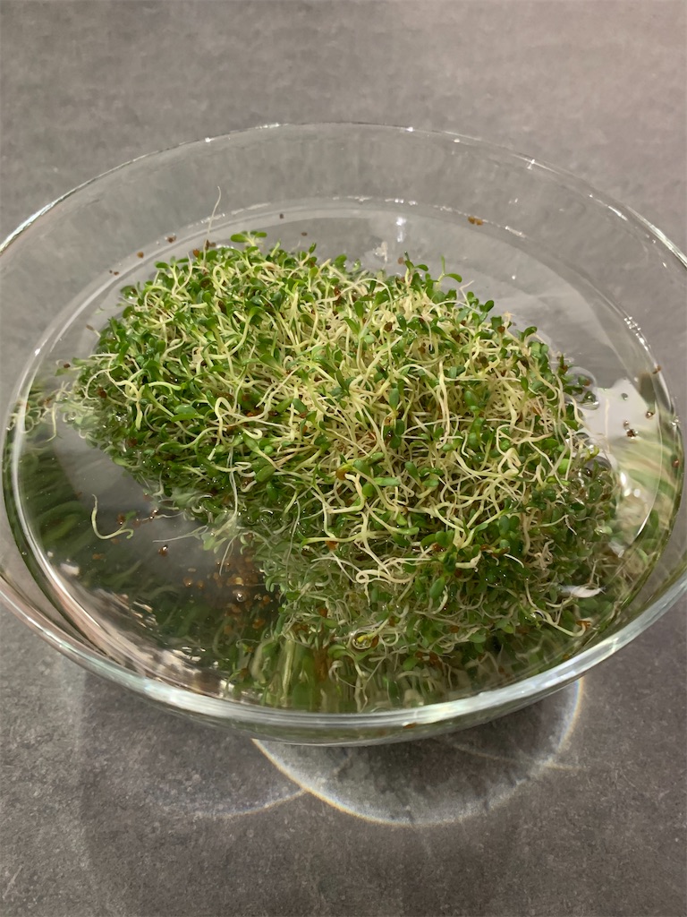 f:id:cucinabitabile:20201005204522j:image f:id:cucinabitabile:20201005204522j:image