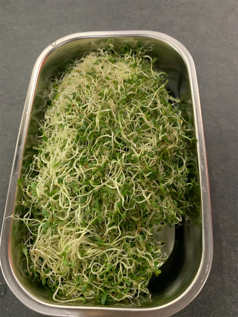 f:id:cucinabitabile:20201005204525j:image f:id:cucinabitabile:20201005204525j:image