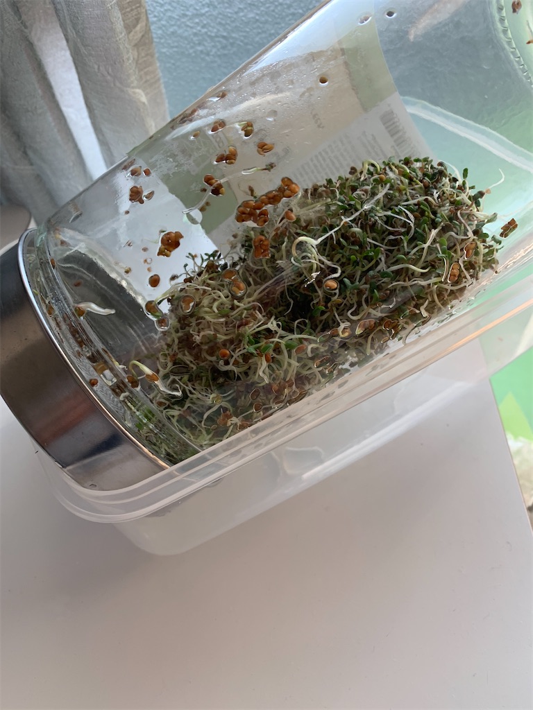 f:id:cucinabitabile:20201005204528j:image f:id:cucinabitabile:20201005204528j:image