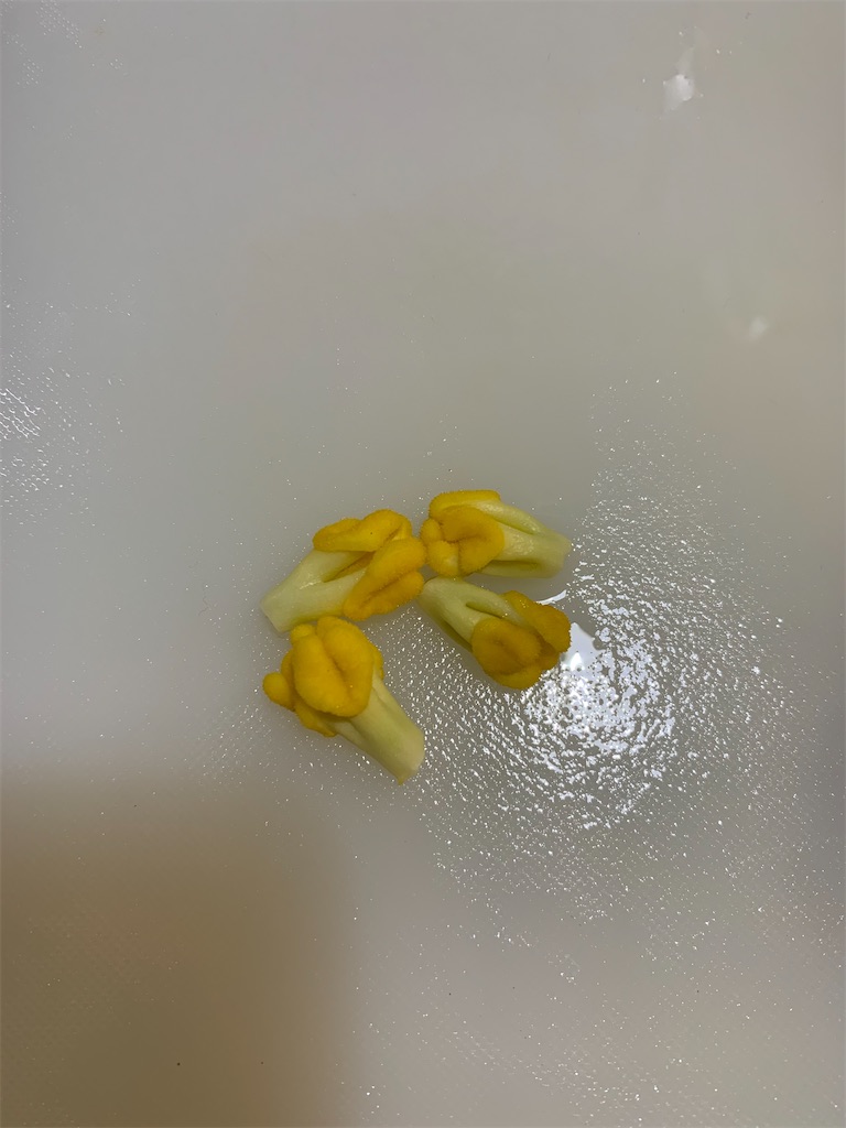 f:id:cucinabitabile:20210519215524j:image