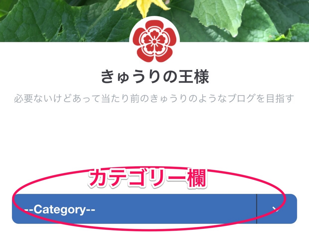 f:id:cucumberking231:20170325190303j:plain f:id:cucumberking231:20170325190303j:plain