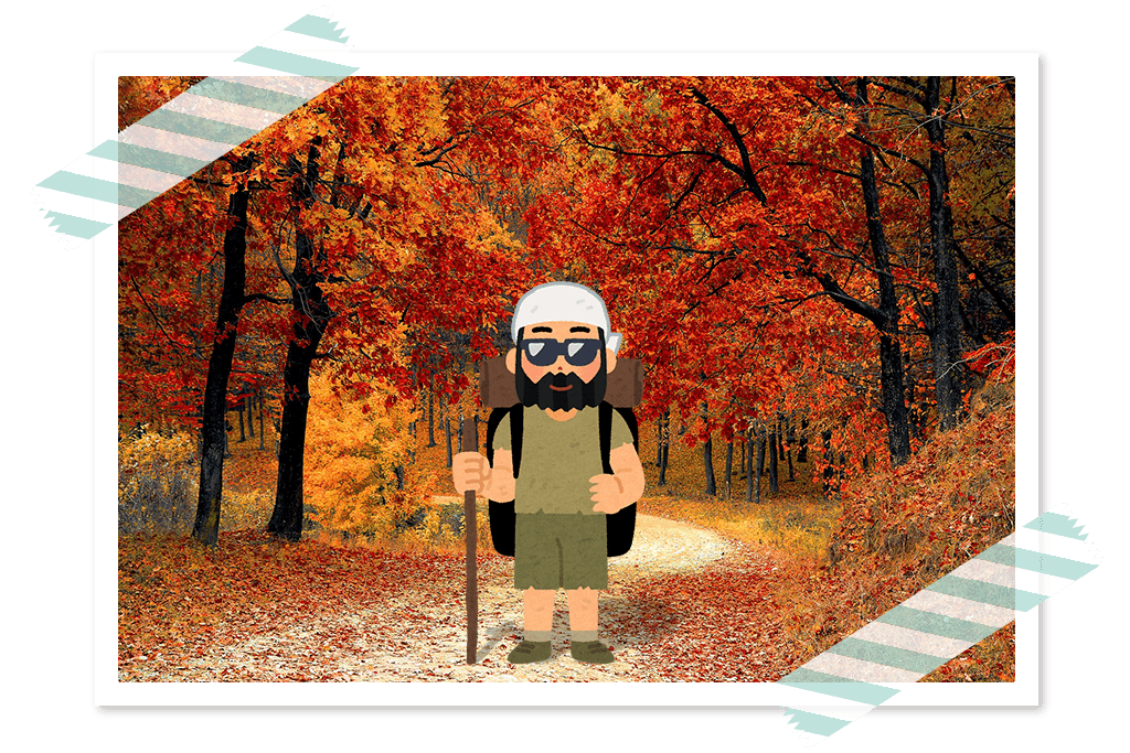 f:id:cucumisin:20180608142405p:plain PNG-8で書き出した画像