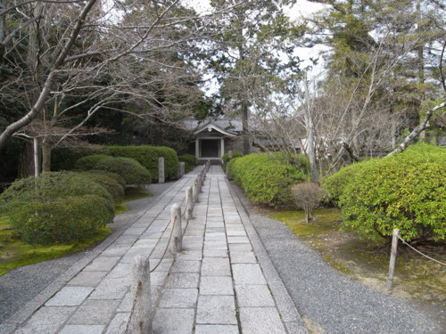 f:id:cuda:20100318012755j:image:w300