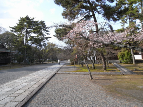 f:id:cuda:20100318012831j:image:w300