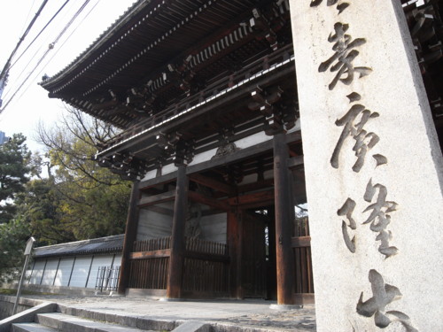 f:id:cuda:20100318012906j:image:w300
