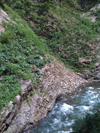 f:id:cuervo:20080713130750j:image f:id:cuervo:20080713130750j:image