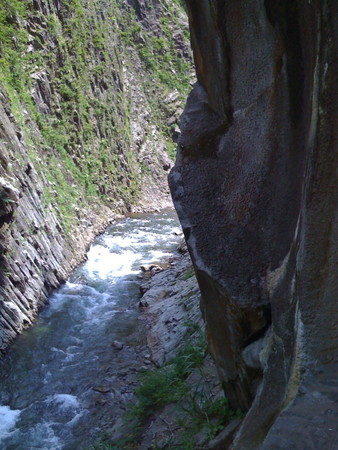 f:id:cuervo:20080713131058j:image f:id:cuervo:20080713131058j:image