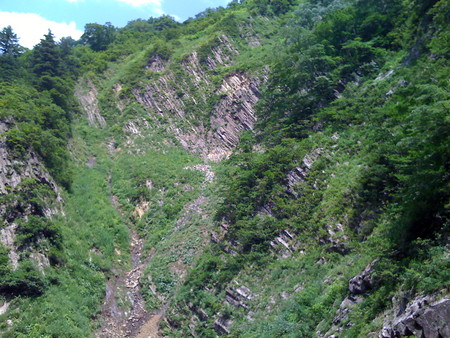 f:id:cuervo:20080713131102j:image f:id:cuervo:20080713131102j:image
