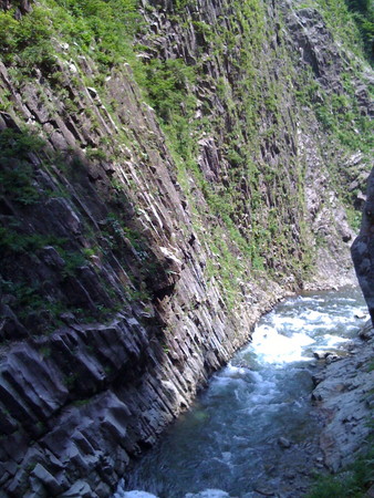 f:id:cuervo:20080713131116j:image f:id:cuervo:20080713131116j:image