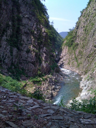 f:id:cuervo:20080713132014j:image f:id:cuervo:20080713132014j:image