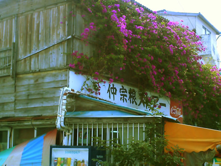 f:id:cuervo:20090215122350j:image