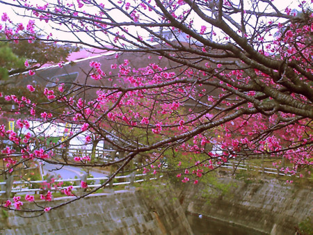 f:id:cuervo:20090215150002j:image
