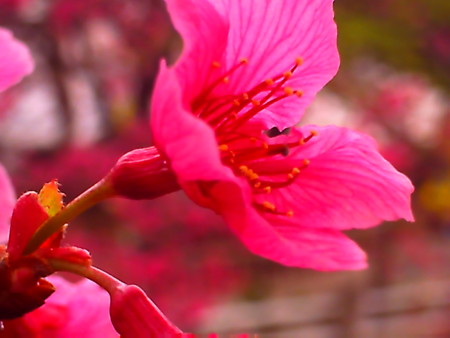 f:id:cuervo:20090215150228j:image