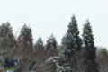 20100228214412