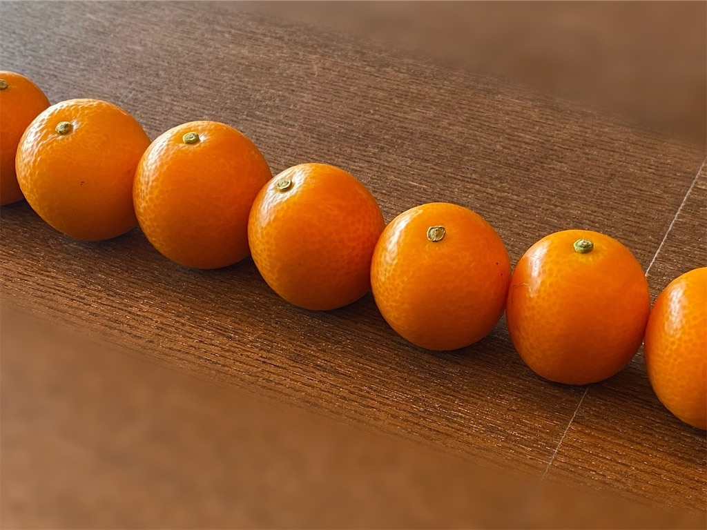 f:id:cuespot_331:20240121230609j:image