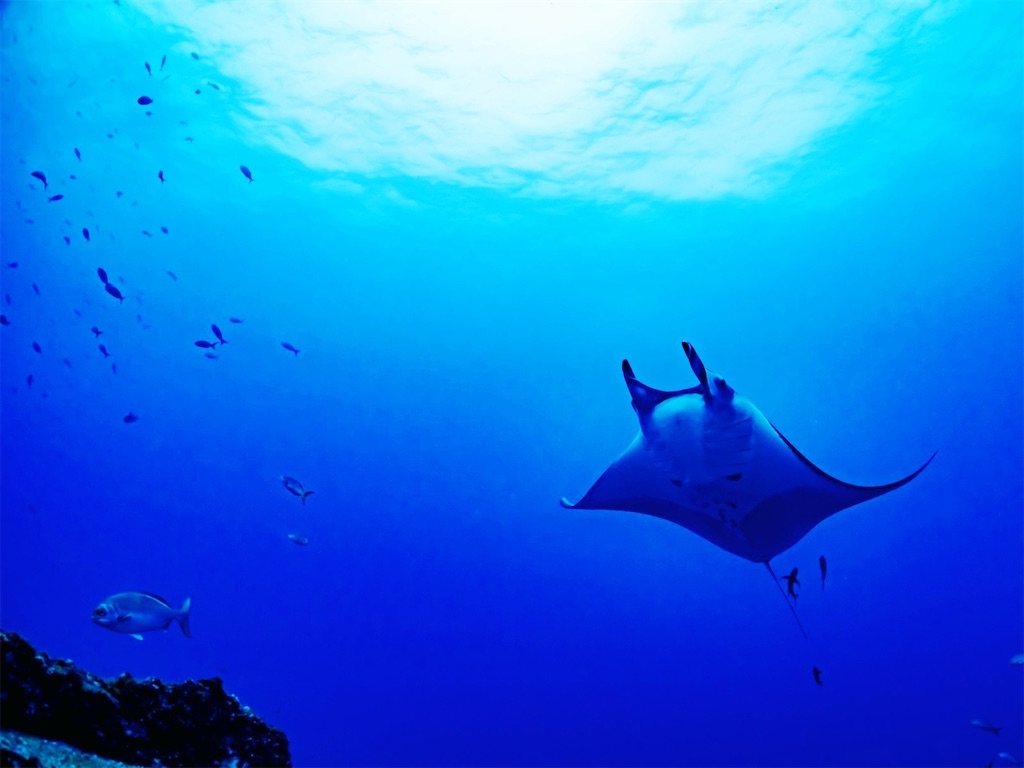 f:id:cuespot_331:20240923233807j:image