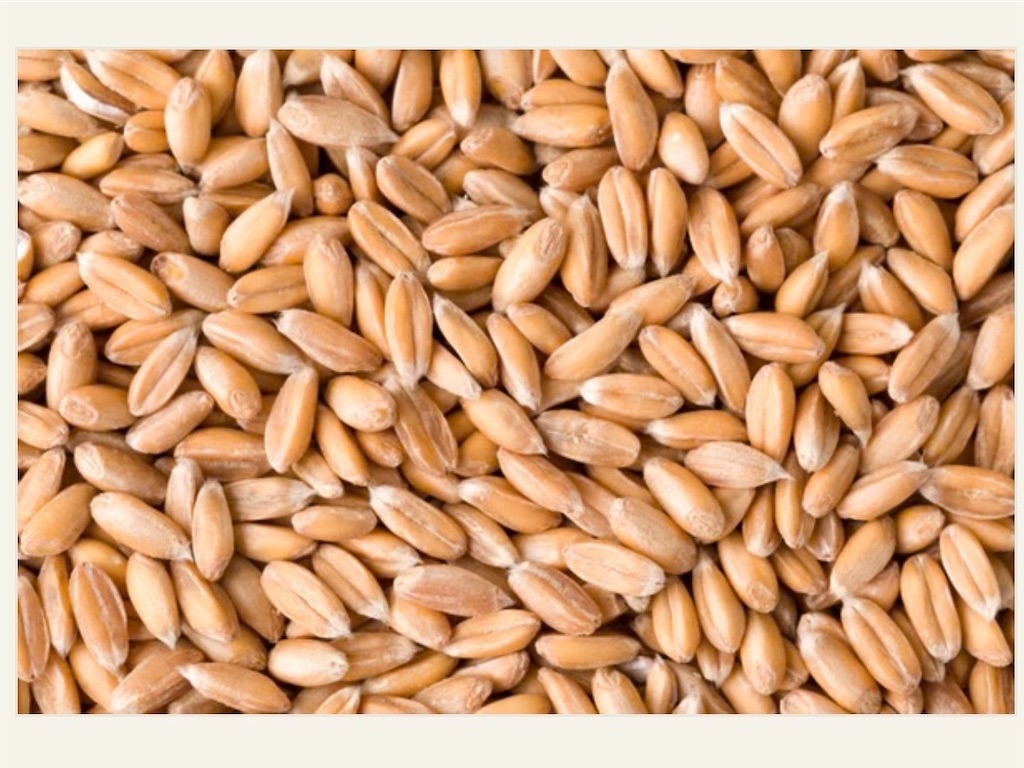 f:id:cuespot_331:20241006005707j:image