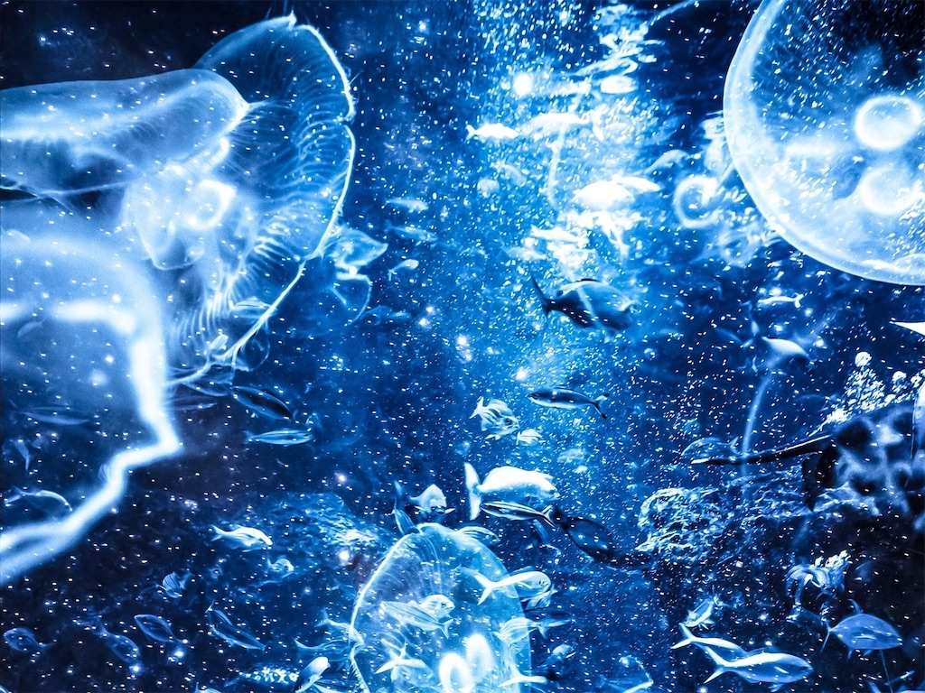 f:id:cuespot_331:20250116183631j:image f:id:cuespot_331:20250116183631j:image